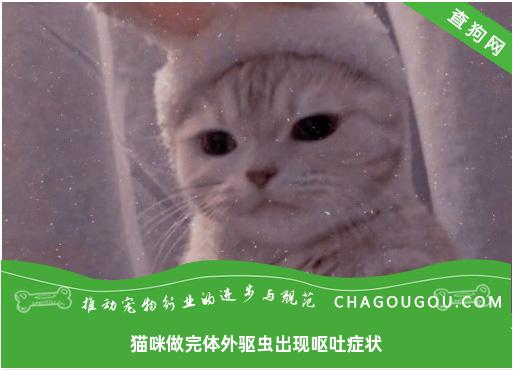 猫咪做完体外驱虫出现呕吐症状