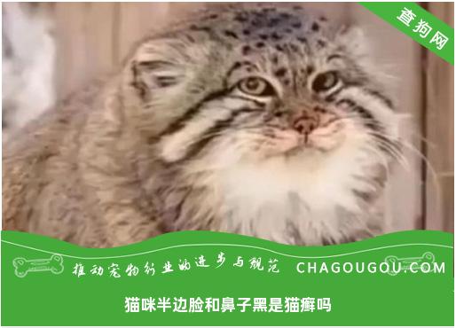 猫咪半边脸和鼻子黑是猫癣吗