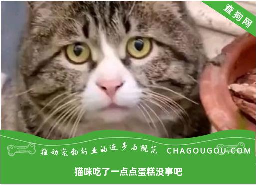 猫咪吃了一点点蛋糕没事吧