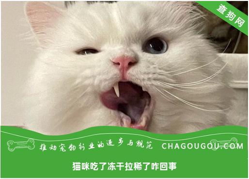 猫咪吃了冻干拉稀了咋回事