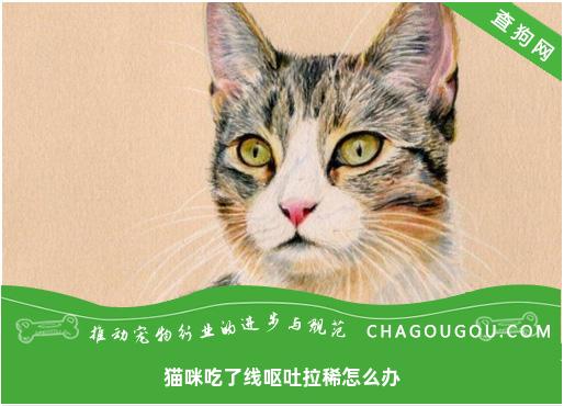 猫咪吃了线呕吐拉稀怎么办