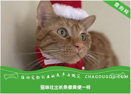 猫咪吐出长条像粪便一样