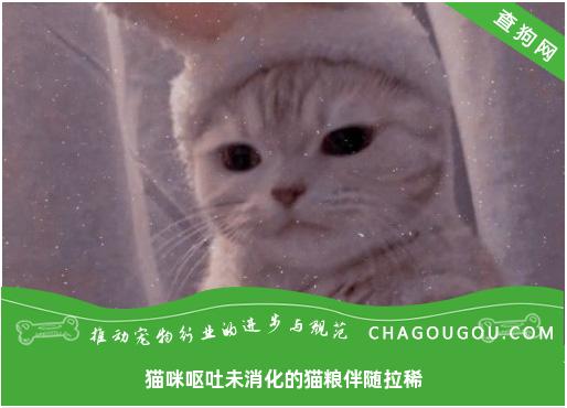 猫咪呕吐未消化的猫粮伴随拉稀