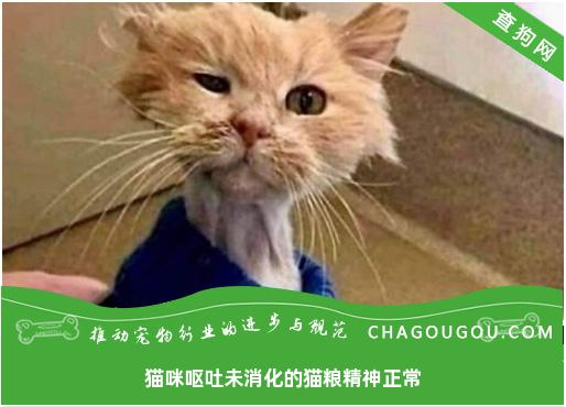 猫咪呕吐未消化的猫粮精神正常