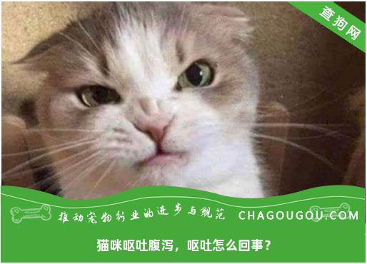 猫咪呕吐腹泻，呕吐怎么回事？