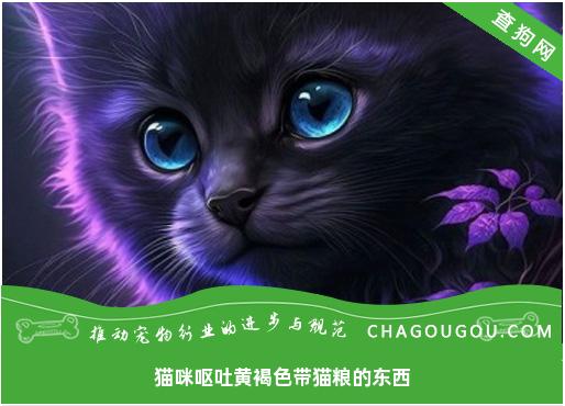 猫咪呕吐黄褐色带猫粮的东西