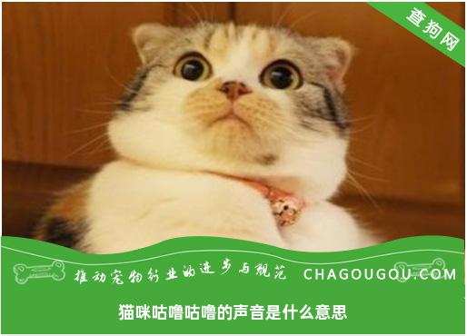 猫咪咕噜咕噜的声音是什么意思