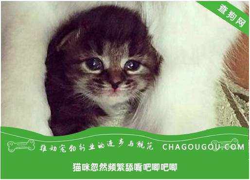 猫咪忽然频繁舔嘴吧唧吧唧