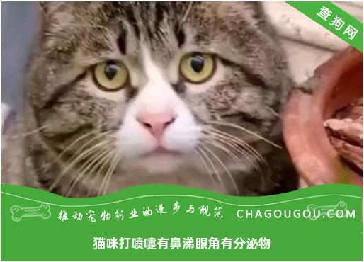 猫咪打喷嚏有鼻涕眼角有分泌物