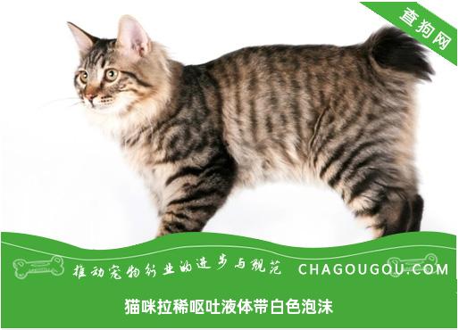 猫咪拉稀呕吐液体带白色泡沫