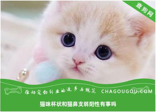 猫咪杯状和猫鼻支弱阳性有事吗