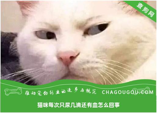 猫咪每次只尿几滴还有血怎么回事