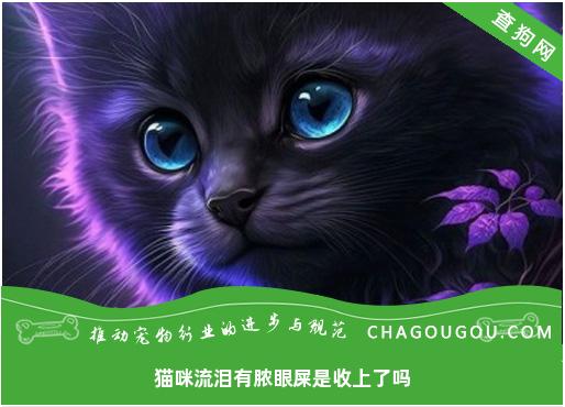 猫咪流泪有脓眼屎是收上了吗