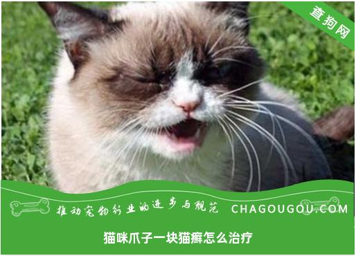 猫咪爪子一块猫癣怎么治疗