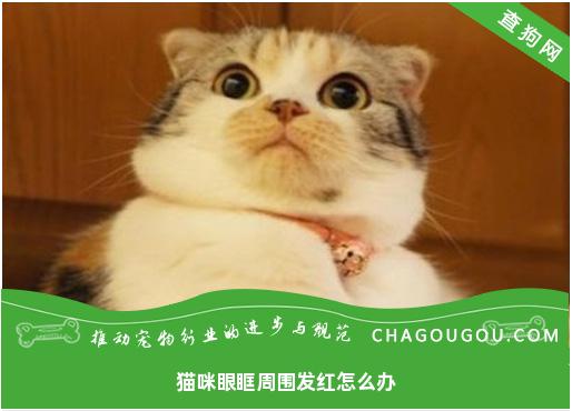 猫咪眼眶周围发红怎么办