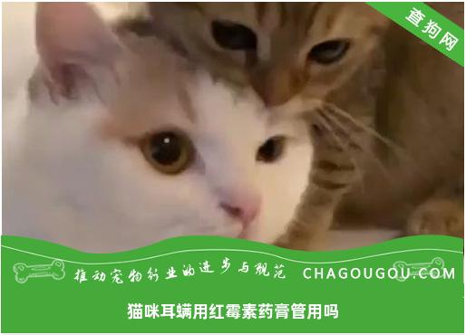 猫咪耳螨用红霉素药膏管用吗