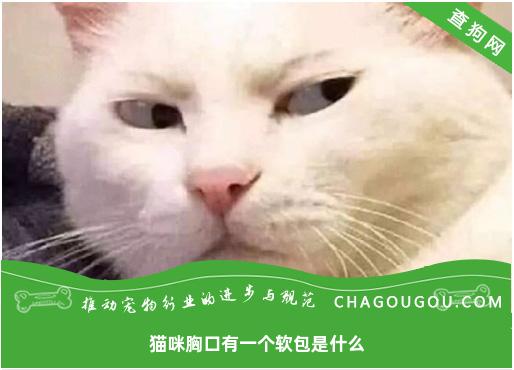 猫咪胸口有一个软包是什么