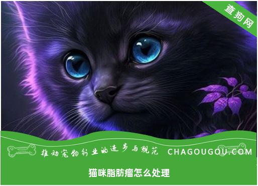 猫咪脂肪瘤怎么处理