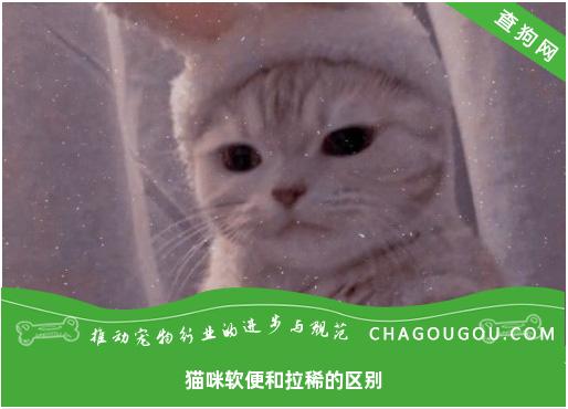 猫咪软便和拉稀的区别