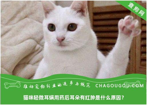 猫咪轻微耳螨用药后耳朵有红肿是什么原因？