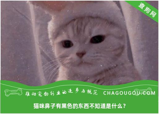 猫咪鼻子有黑色的东西不知道是什么？