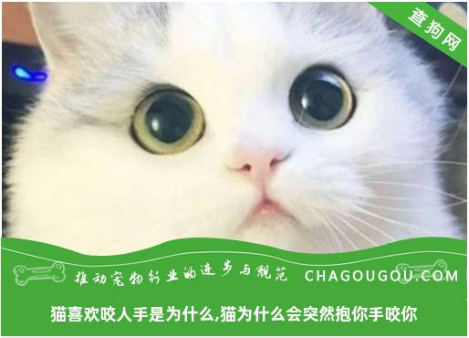 猫喜欢咬人手是为什么,猫为什么会突然抱你手咬你