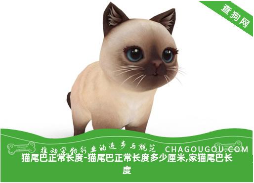 猫尾巴正常长度-猫尾巴正常长度多少厘米,家猫尾巴长度