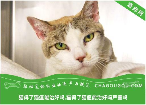 猫得了猫瘟能治好吗,猫得了猫瘟能治好吗严重吗