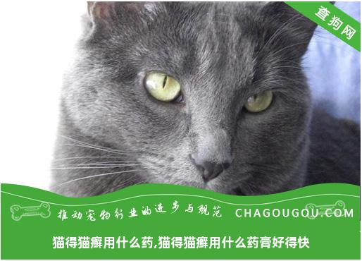 猫得猫癣用什么药,猫得猫癣用什么药膏好得快