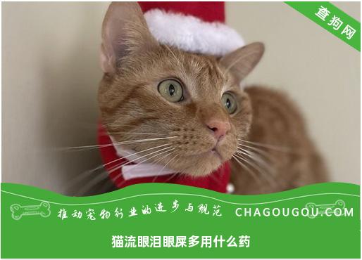 猫流眼泪眼屎多用什么药