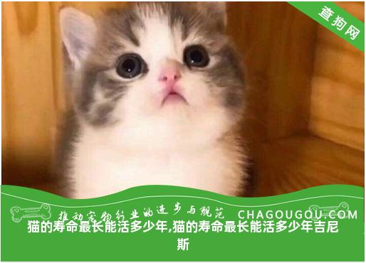 猫的寿命最长能活多少年,猫的寿命最长能活多少年吉尼斯