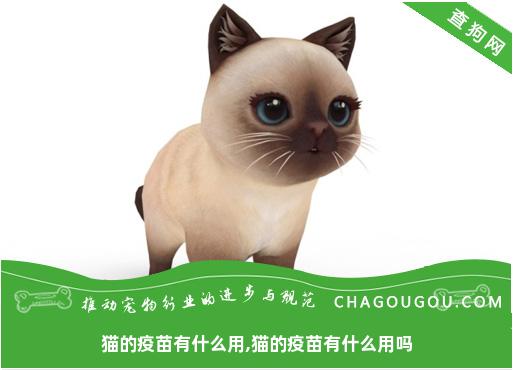 猫的疫苗有什么用,猫的疫苗有什么用吗