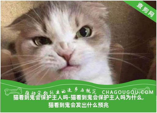 猫看到鬼会保护主人吗-猫看到鬼会保护主人吗为什么,猫看到鬼会发出什么预兆