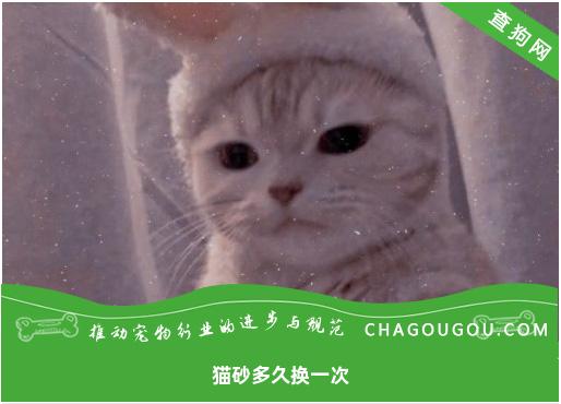 猫砂多久换一次