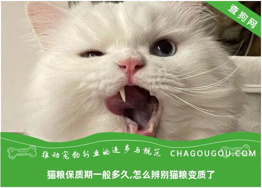 猫粮保质期一般多久,怎么辨别猫粮变质了