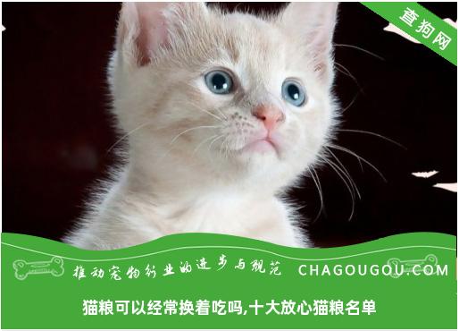 猫粮可以经常换着吃吗,十大放心猫粮名单