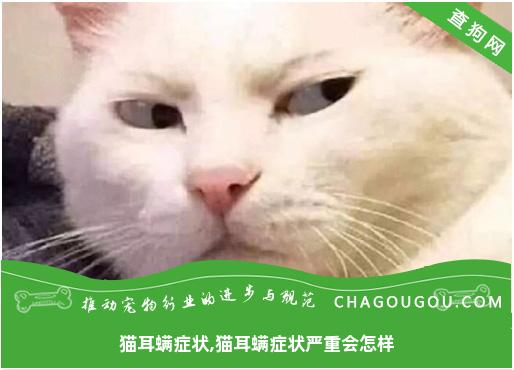 猫耳螨症状,猫耳螨症状严重会怎样