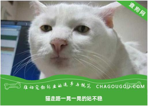 猫走路一晃一晃的站不稳