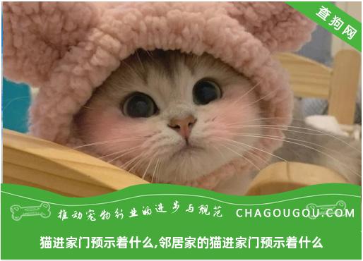 猫进家门预示着什么,邻居家的猫进家门预示着什么