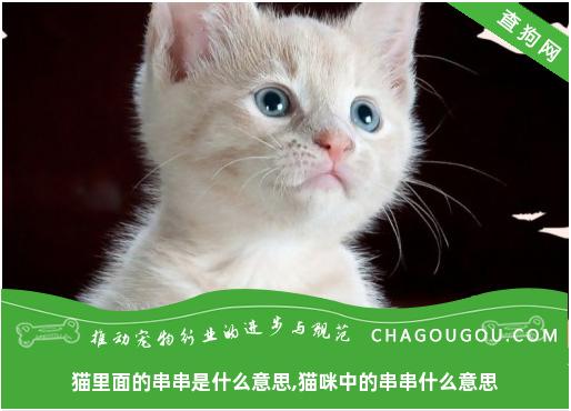 猫里面的串串是什么意思,猫咪中的串串什么意思