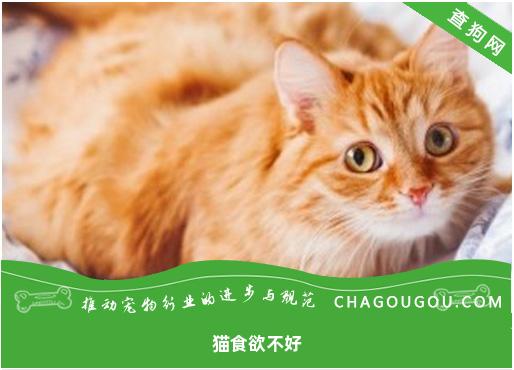 猫食欲不好