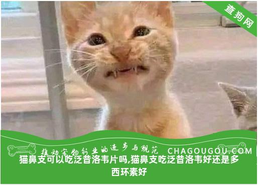 猫鼻支可以吃泛昔洛韦片吗,猫鼻支吃泛昔洛韦好还是多西环素好