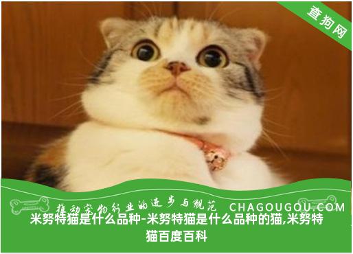 米努特猫是什么品种-米努特猫是什么品种的猫,米努特猫百度百科