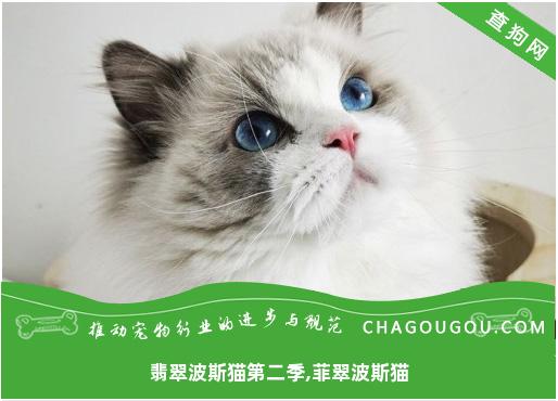 翡翠波斯猫第二季,菲翠波斯猫