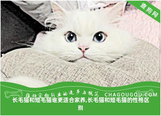 长毛猫和短毛猫谁更适合家养,长毛猫和短毛猫的性格区别