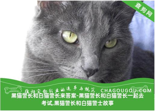 黑猫警长和白猫警长来答案-黑猫警长和白猫警长一起去考试,黑猫警长和白猫警士故事