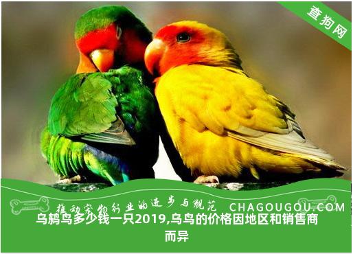 乌鸫鸟多少钱一只2019,乌鸟的价格因地区和销售商而异