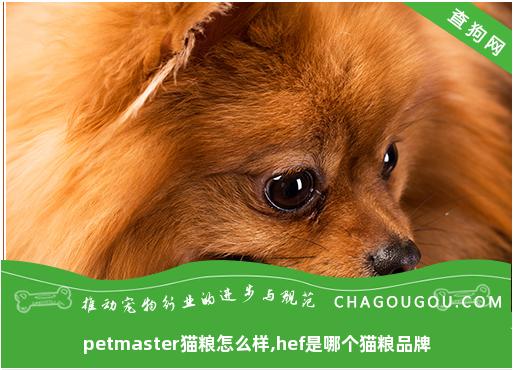 petmaster猫粮怎么样,hef是哪个猫粮品牌