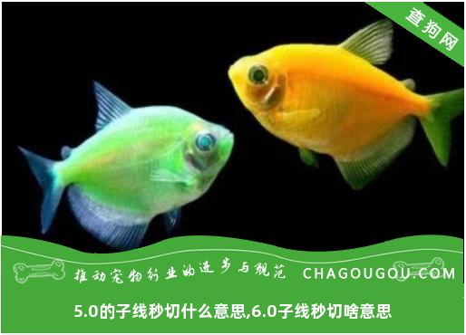 5.0的子线秒切什么意思,6.0子线秒切啥意思