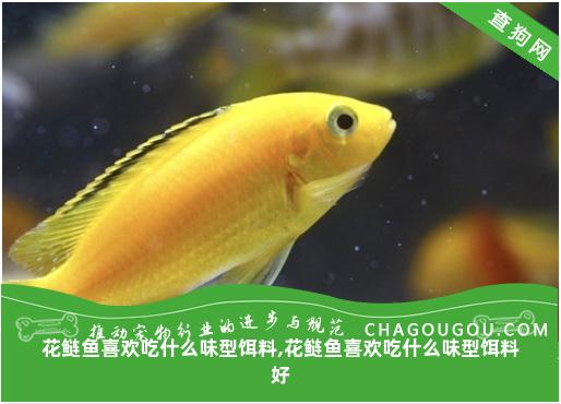 花鲢鱼喜欢吃什么味型饵料,花鲢鱼喜欢吃什么味型饵料好